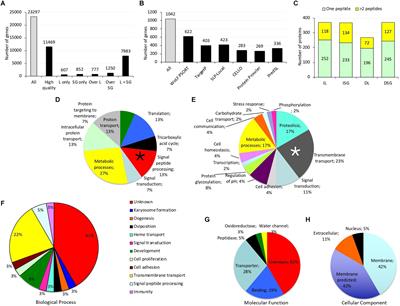 A Vaccinomics Approach for the Identification of Tick Protective Antigens for the Control of Ixodes ricinus and Dermacentor reticulatus Infestations in Companion Animals